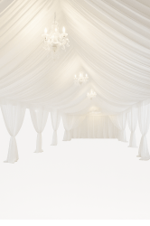 20x30 High Peak Canopy White Draped